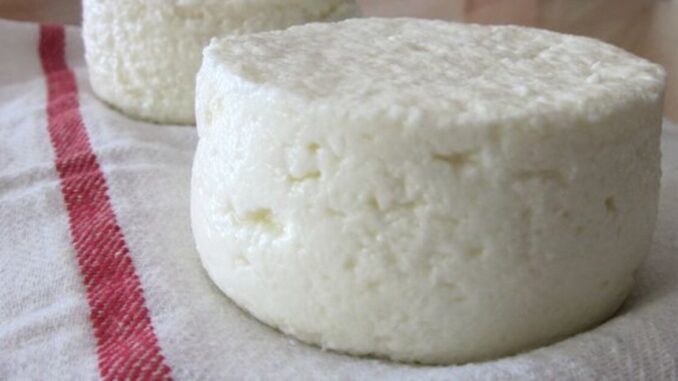 queijo Saiba como fazer queijo