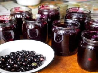 Como Fazer Geleia de Jabuticaba Aromatizada em Casa